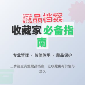 如何建立藏品的详细档案?