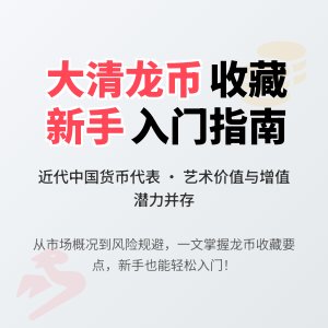 大清龙币铜元的收藏市场是否适合新手