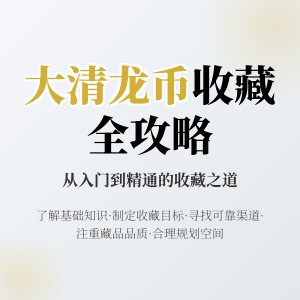 大清龙币铜元的收藏如何进行合理的收藏规划布局