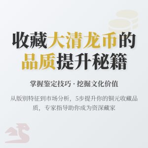 怎样在收藏大清龙币铜元中提升自己的收藏品质