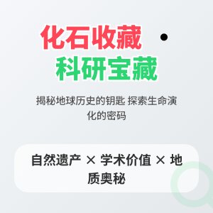 化石收藏的科研价值