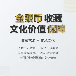 金银币收藏中的文化价值保障措施