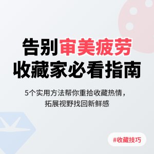 收藏中的审美疲劳应对方法