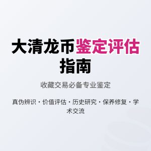 哪些情况下需要对大清龙币铜元进行专业的鉴定评估