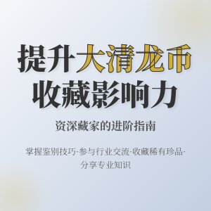 怎样在收藏大清龙币铜元中提升自己的收藏行业影响力