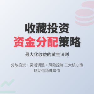 收藏投资的资金分配策略