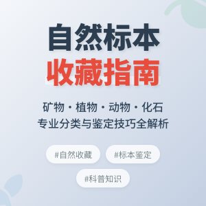 自然标本收藏的分类与鉴定