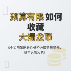 如何在有限预算下收藏大清龙币铜元