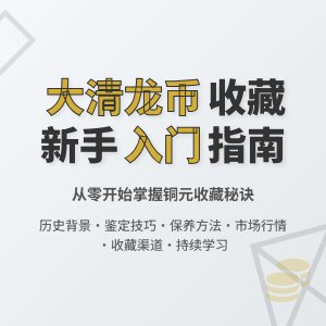 新手如何入门大清龙币铜元收藏