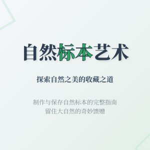 自然标本收藏的制作与保存