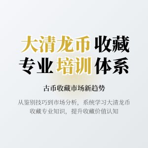 大清龙币铜元的收藏市场是否有专业的收藏教育培训体系