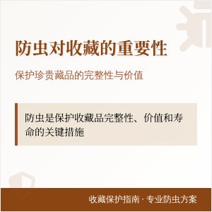 防虫对收藏有多重要？