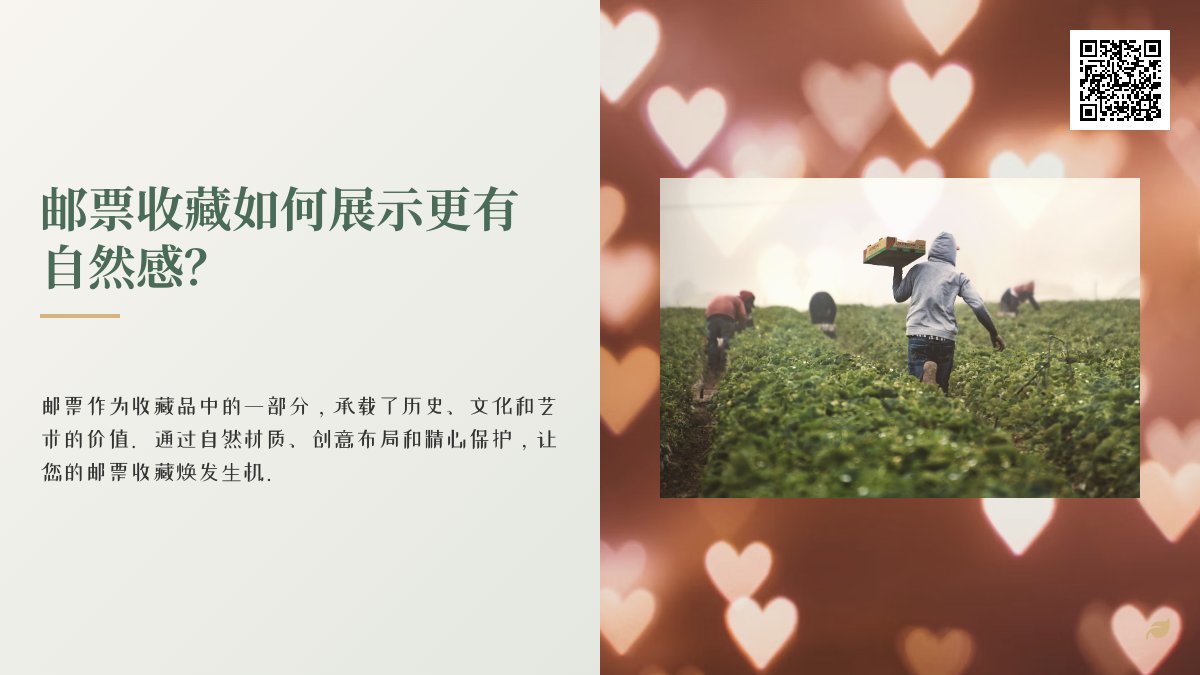 邮票收藏如何展示更有自然感？